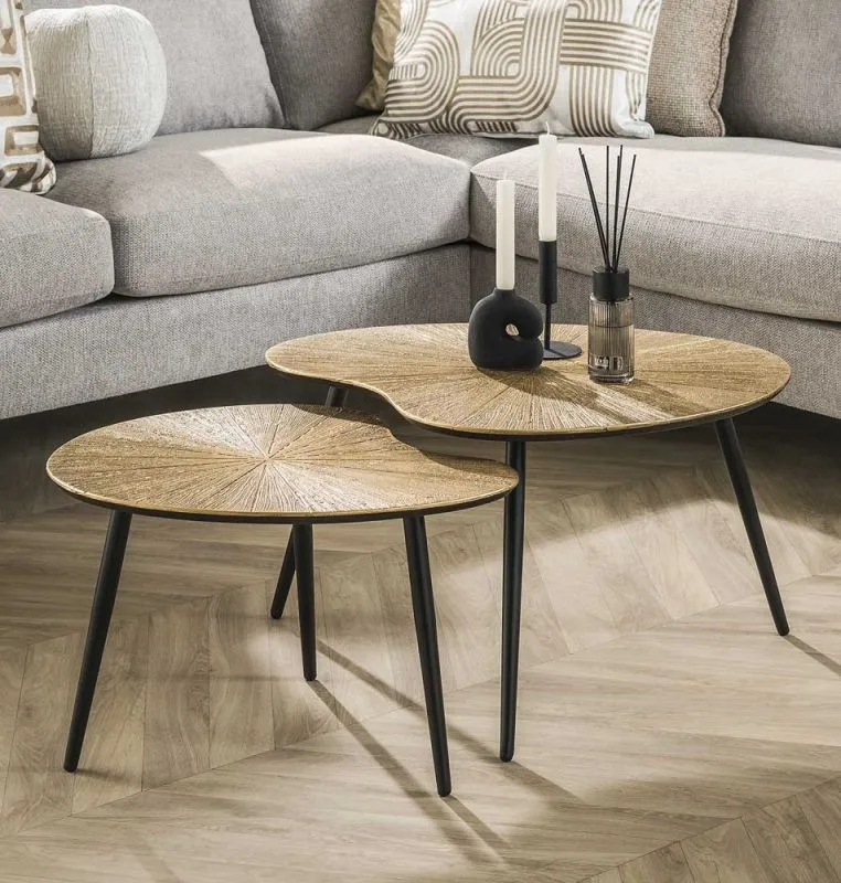 Couchtisch Set Coins | 2-teilig | Nierenform | Metall | Bronze Ray