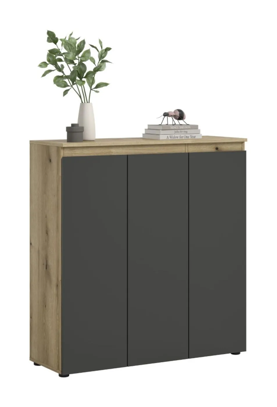 Universalschrank Scarpa | 105 x 110cm | anthrazit / Evoke Eiche