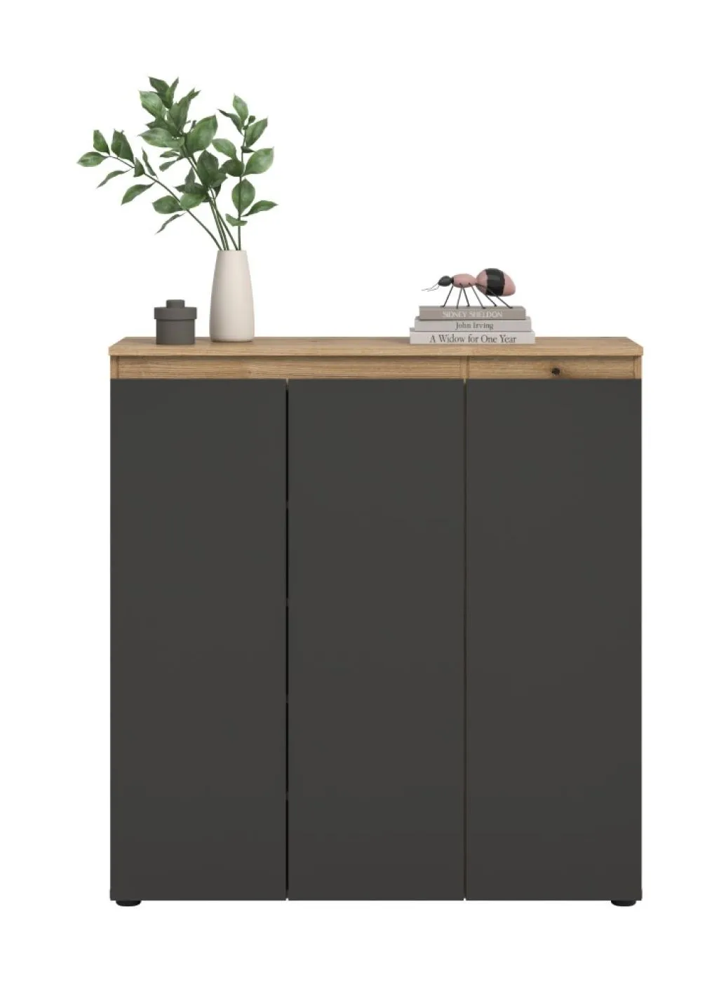Universalschrank Scarpa | 105 x 110cm | anthrazit / Evoke Eiche