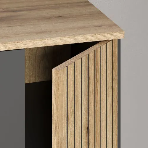 TV-Board Lowboard Esteban 2 | Anthrazit / Coast Evoke Oak