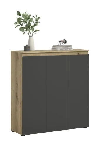 Universalschrank Scarpa | 105 x 110cm | anthrazit / Evoke Eiche