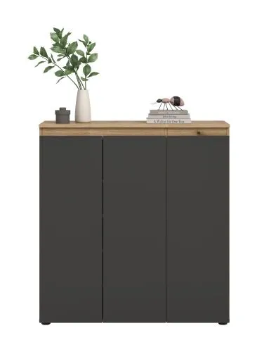 Universalschrank Scarpa | 105 x 110cm | anthrazit / Evoke Eiche