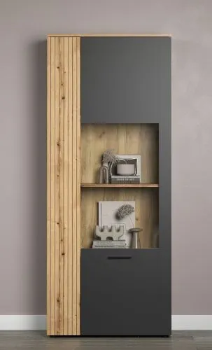 Vitrine Esteban 1 | Anthrazit / Coast Evoke Oak