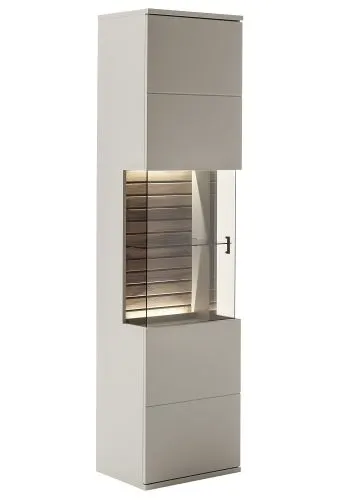 Vitrine Lüttich | Basalt / Wotan Eiche | optional LED Beleuchtung
